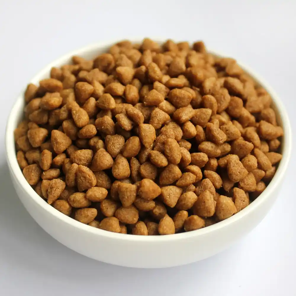 Heart Shaped Dry Cat Food In A Bowl